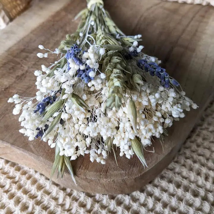Masion Oline - Trockenblumen - COLETTE - Kleiner Strauß natürlicher Trockenblumen