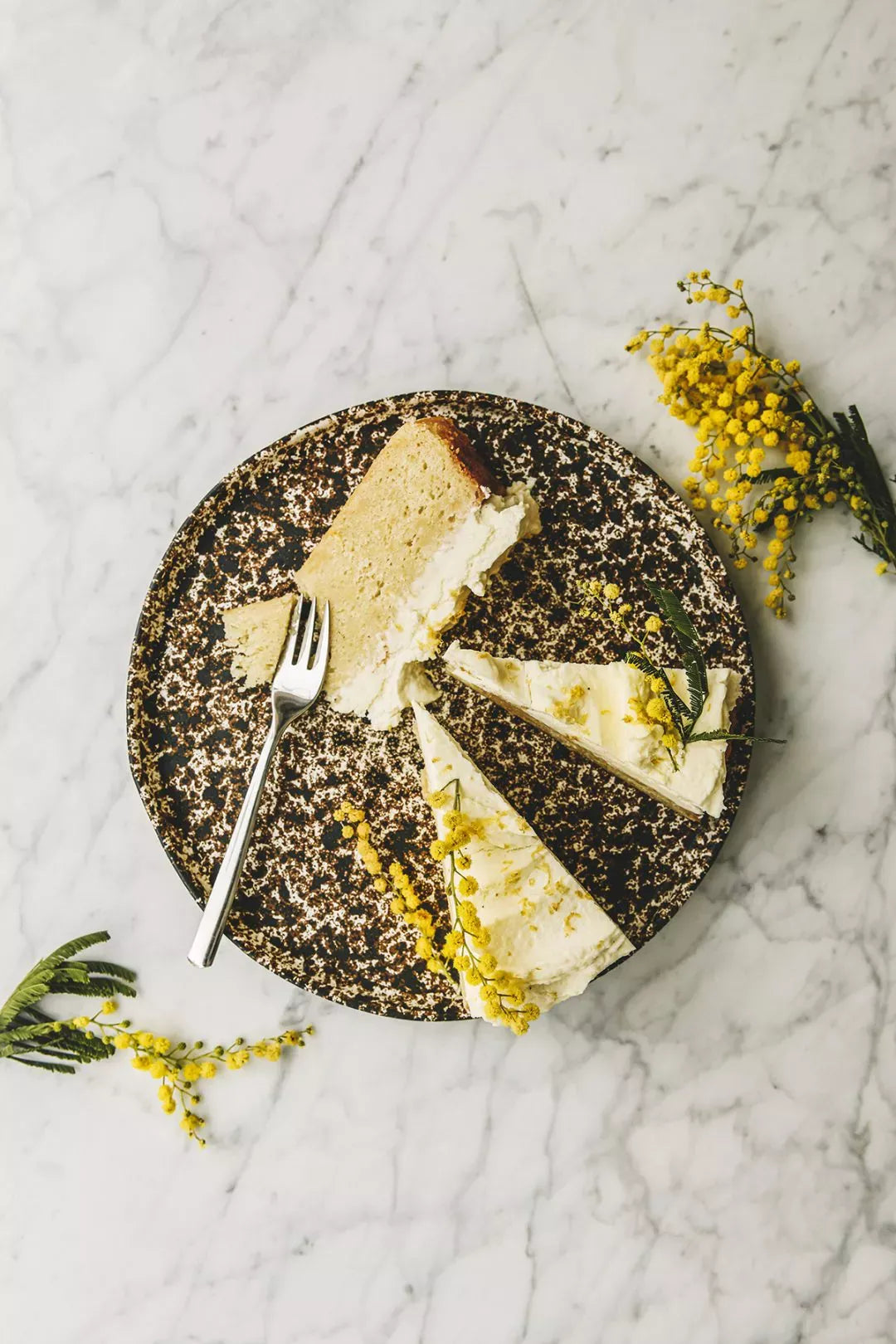 Kochbuch "Cooking Sustainably" – Cozy Publishing