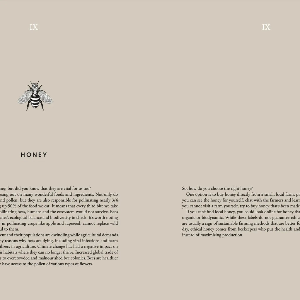 Kochbuch "Cooking Sustainably" – Cozy Publishing