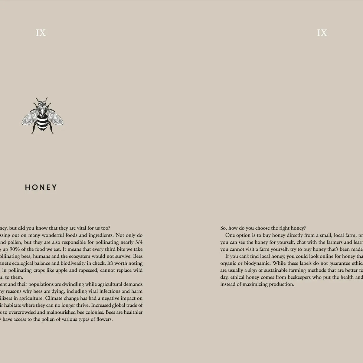 Kochbuch "Cooking Sustainably" – Cozy Publishing