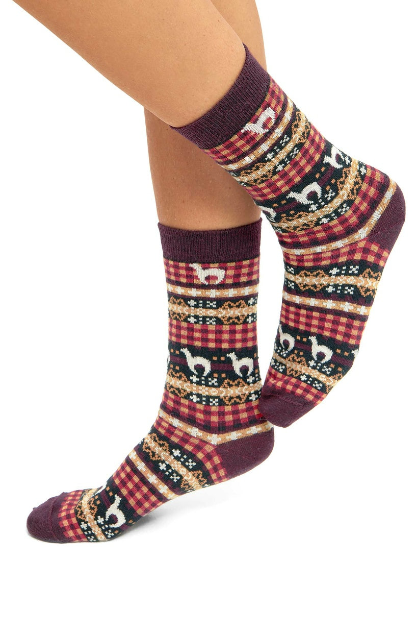 Apu Kuntur – Premium-Alpakasocken Candela – Wärme & Stil im Anden-Look