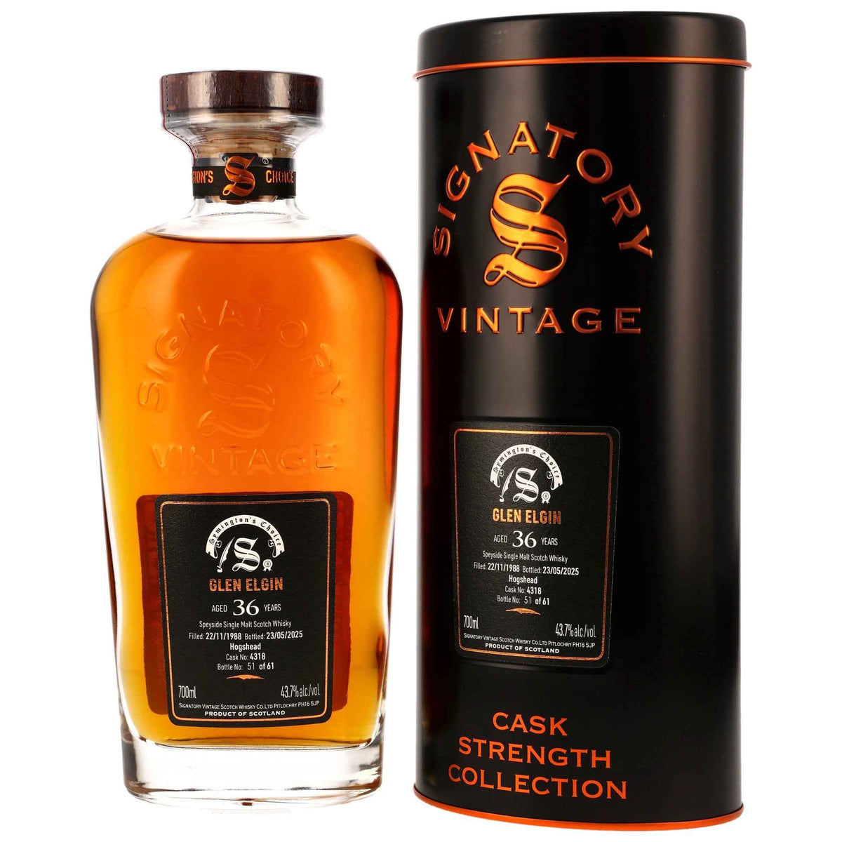 Glen Elgin 36 1988/2025 - Signatory Vintage Symingtons Choice - Hogshead #4318