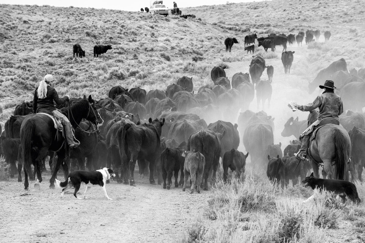A Ranch Year