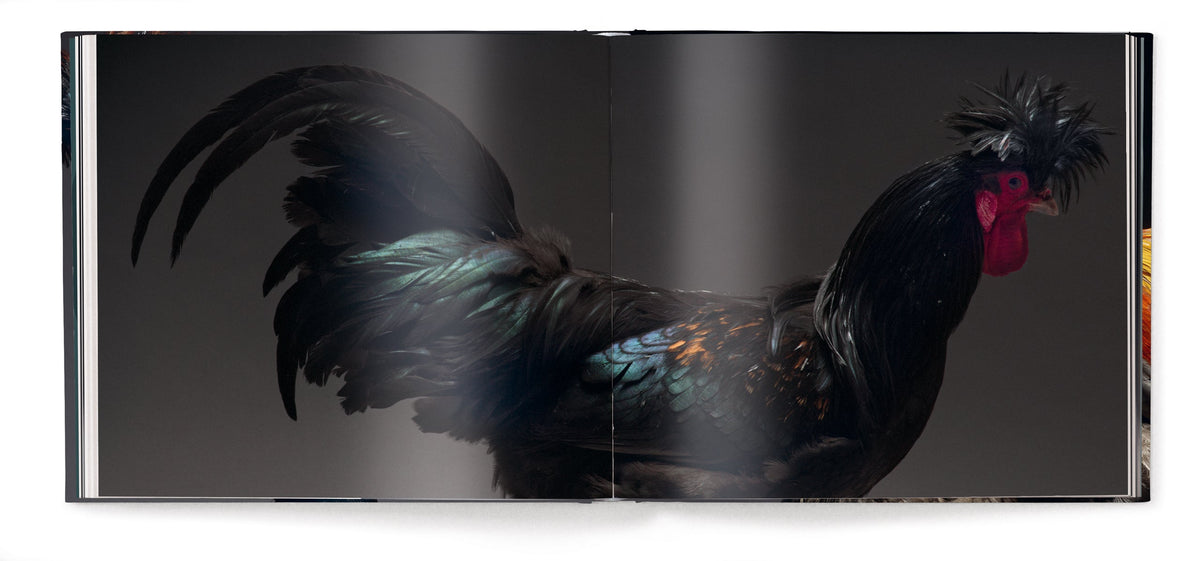 Feathered Elegance