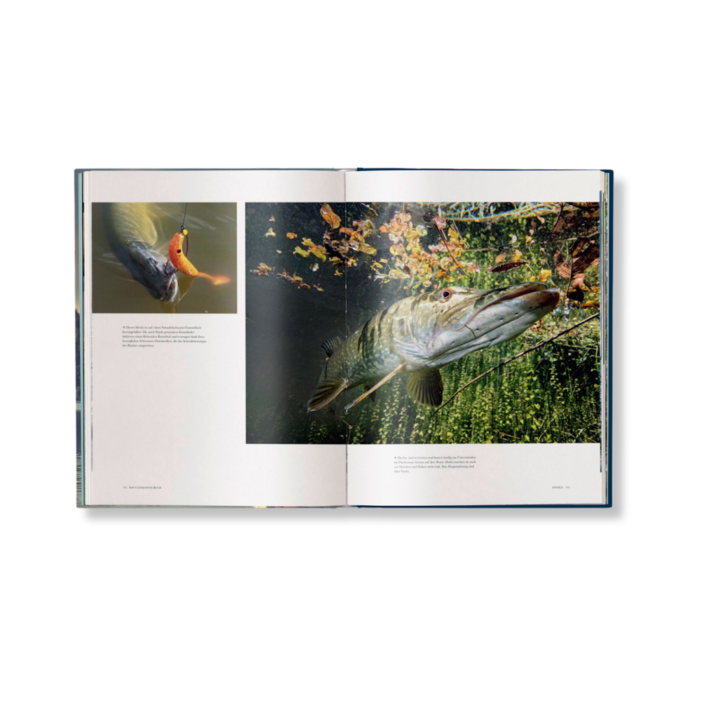 Angeln - Das ultimative Buch