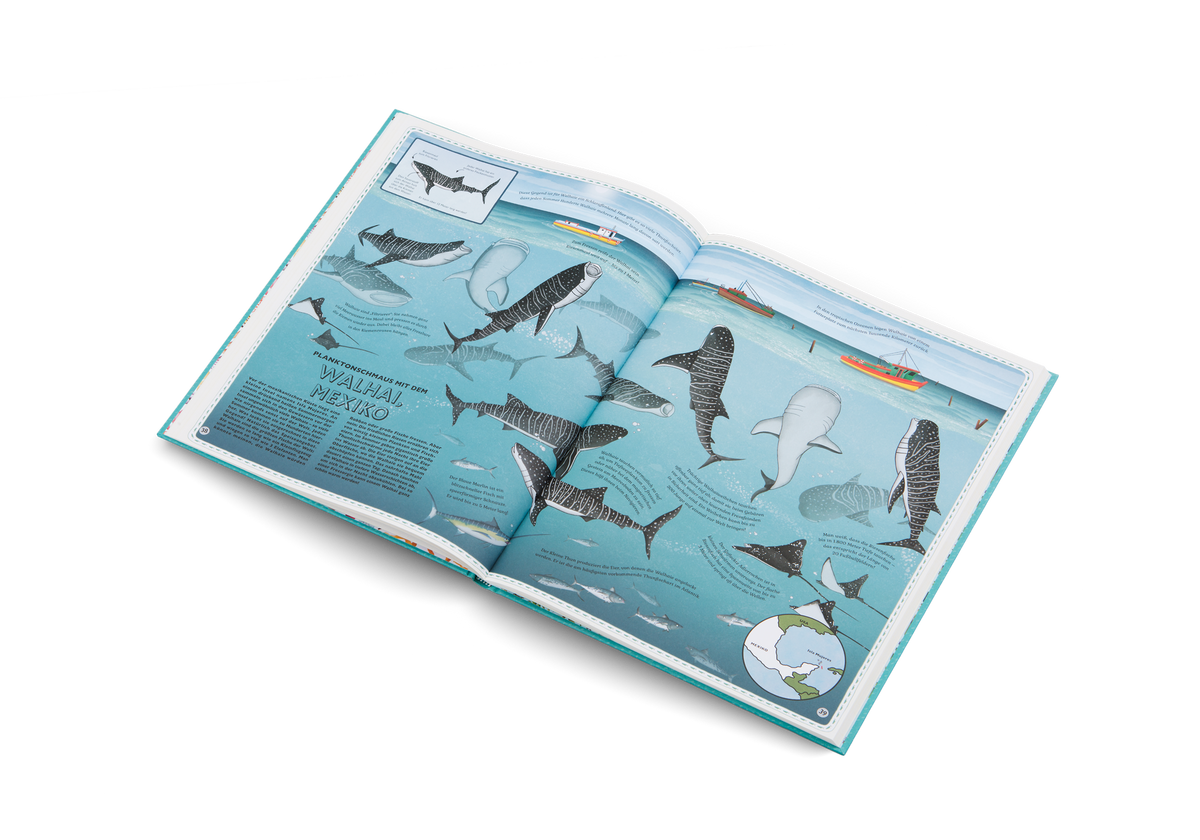 Der Atlas der Ozeane