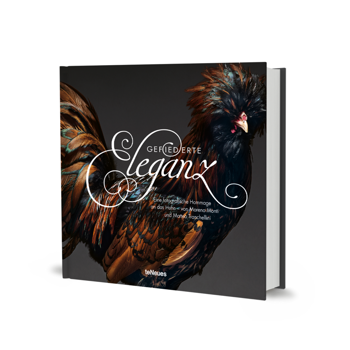 Gefiederte Eleganz
