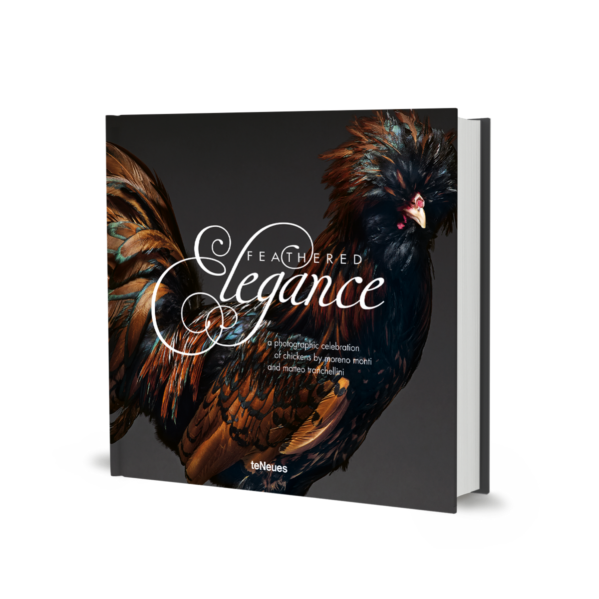 Feathered Elegance