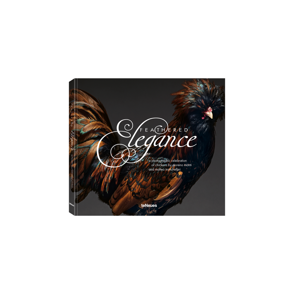 Feathered Elegance