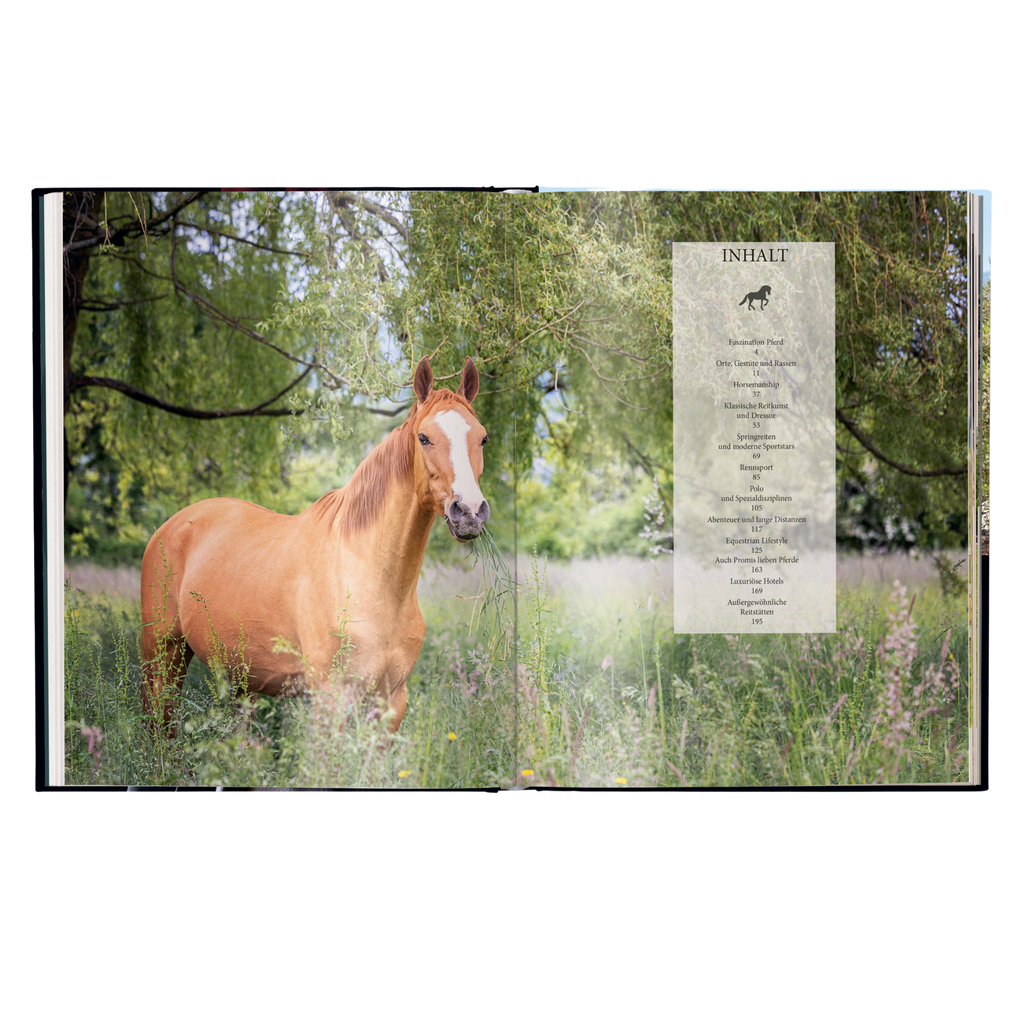 Reiten – Das ultimative Buch