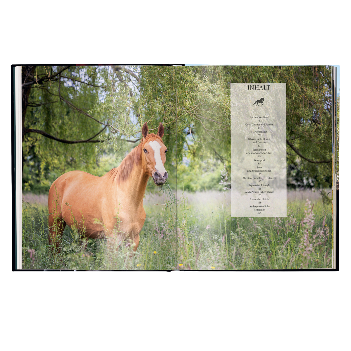 Reiten – Das ultimative Buch