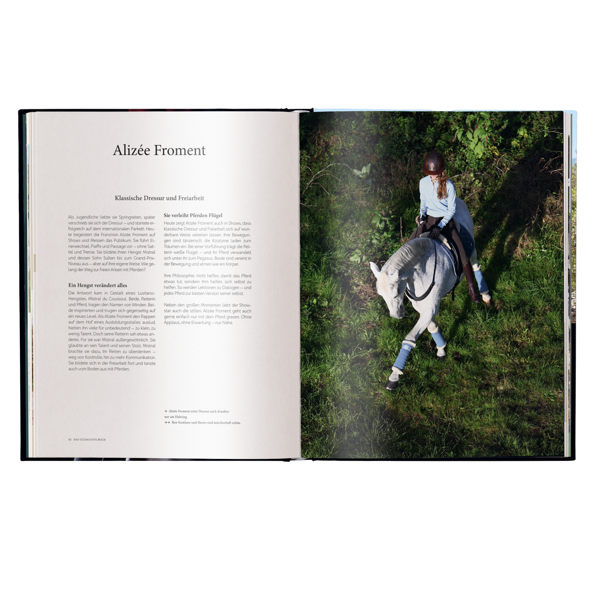 Reiten – Das ultimative Buch