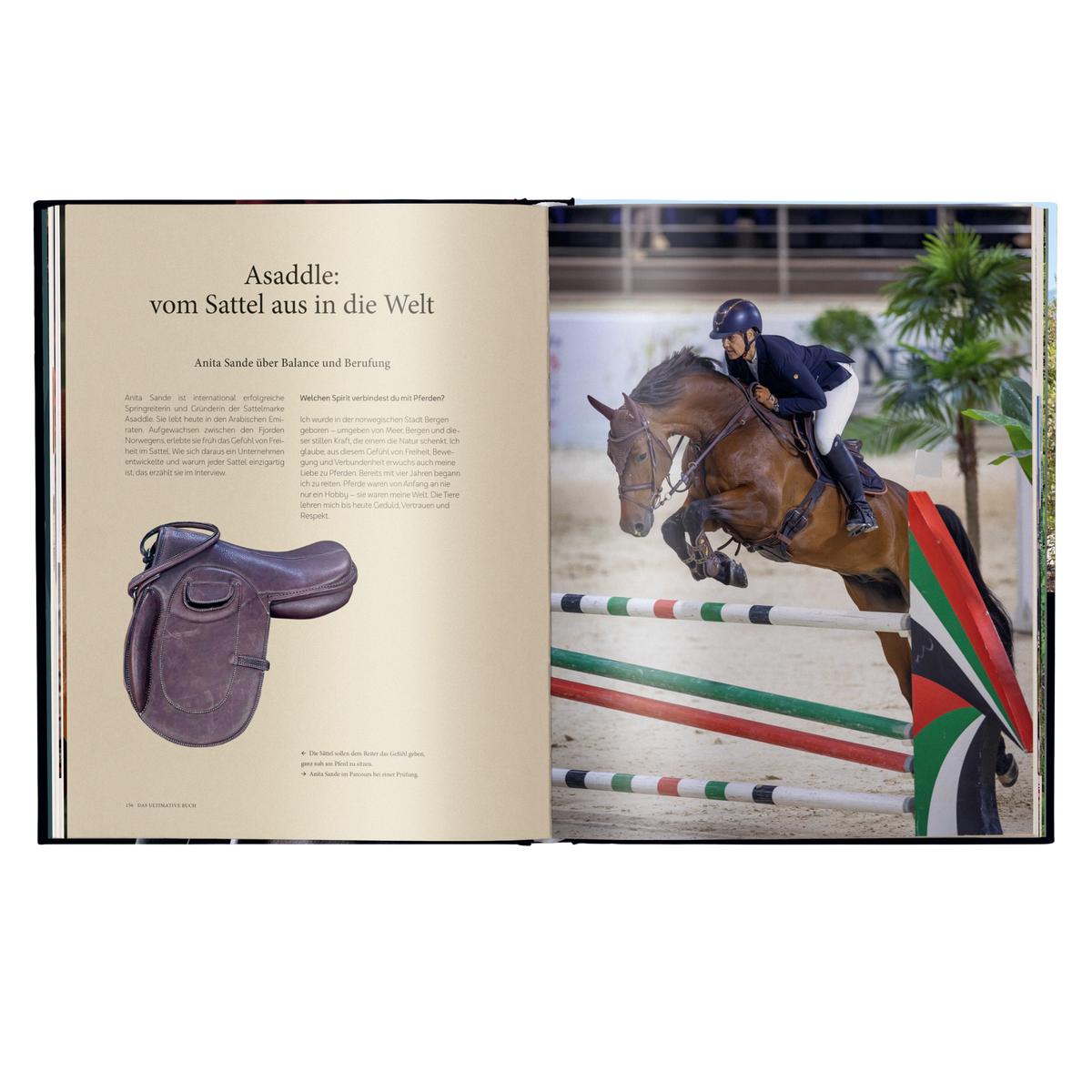 Reiten – Das ultimative Buch