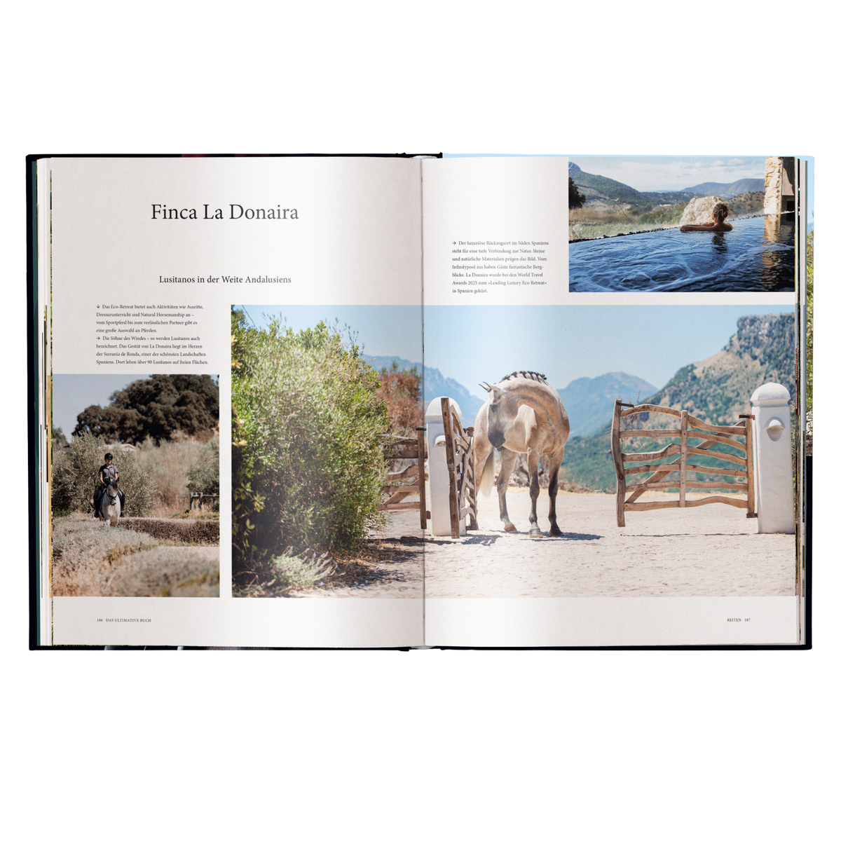 Reiten – Das ultimative Buch