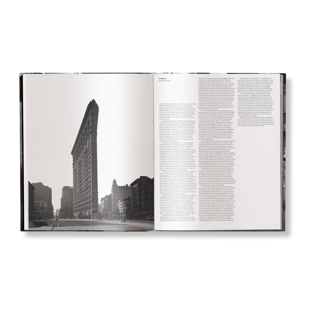 Elliott Erwitts New York