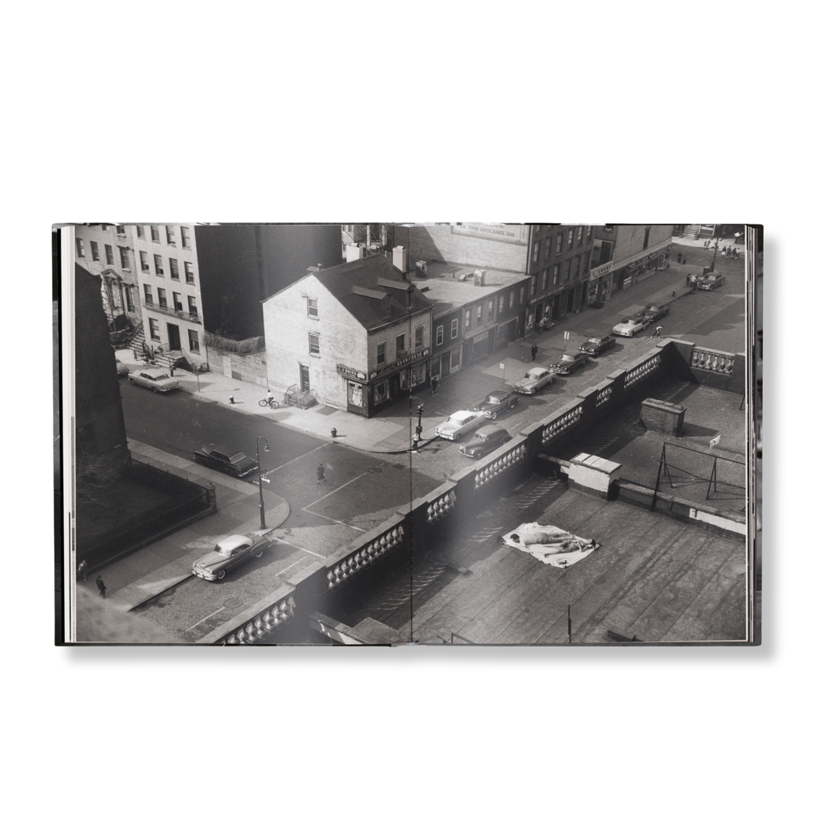 Elliott Erwitts New York