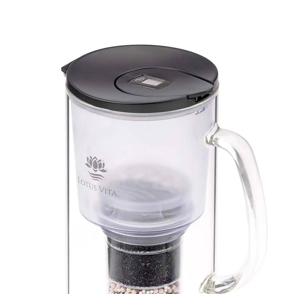 Lotus Vita - Glasfilterkanne - TOYA - 1,4L