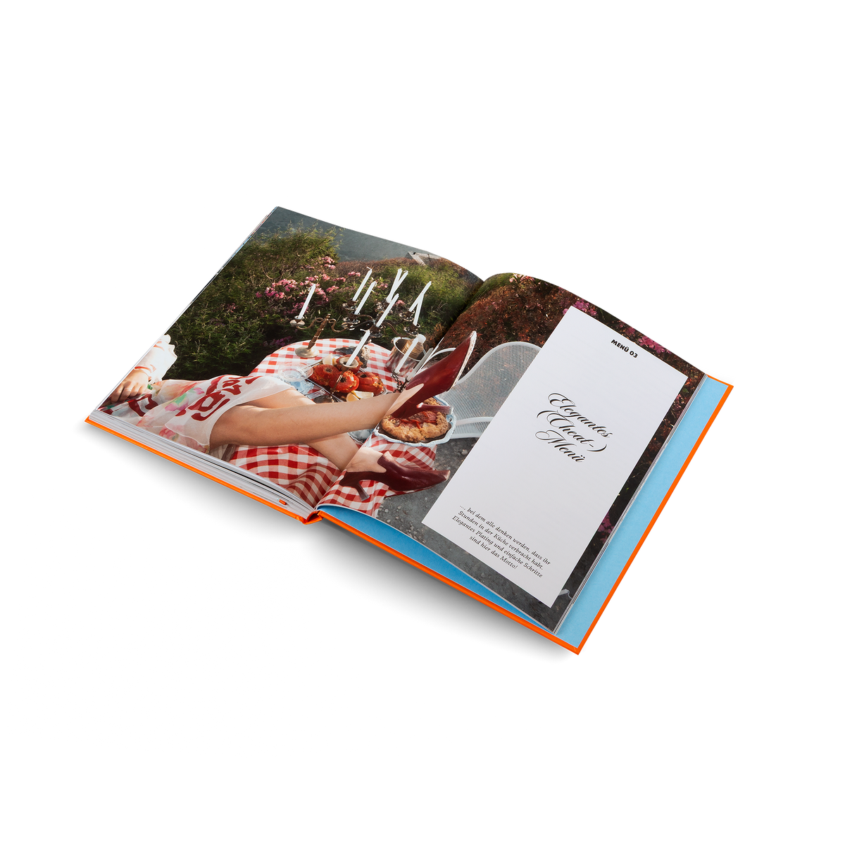 Herrlich Hosting (Deutsche Ausgabe)