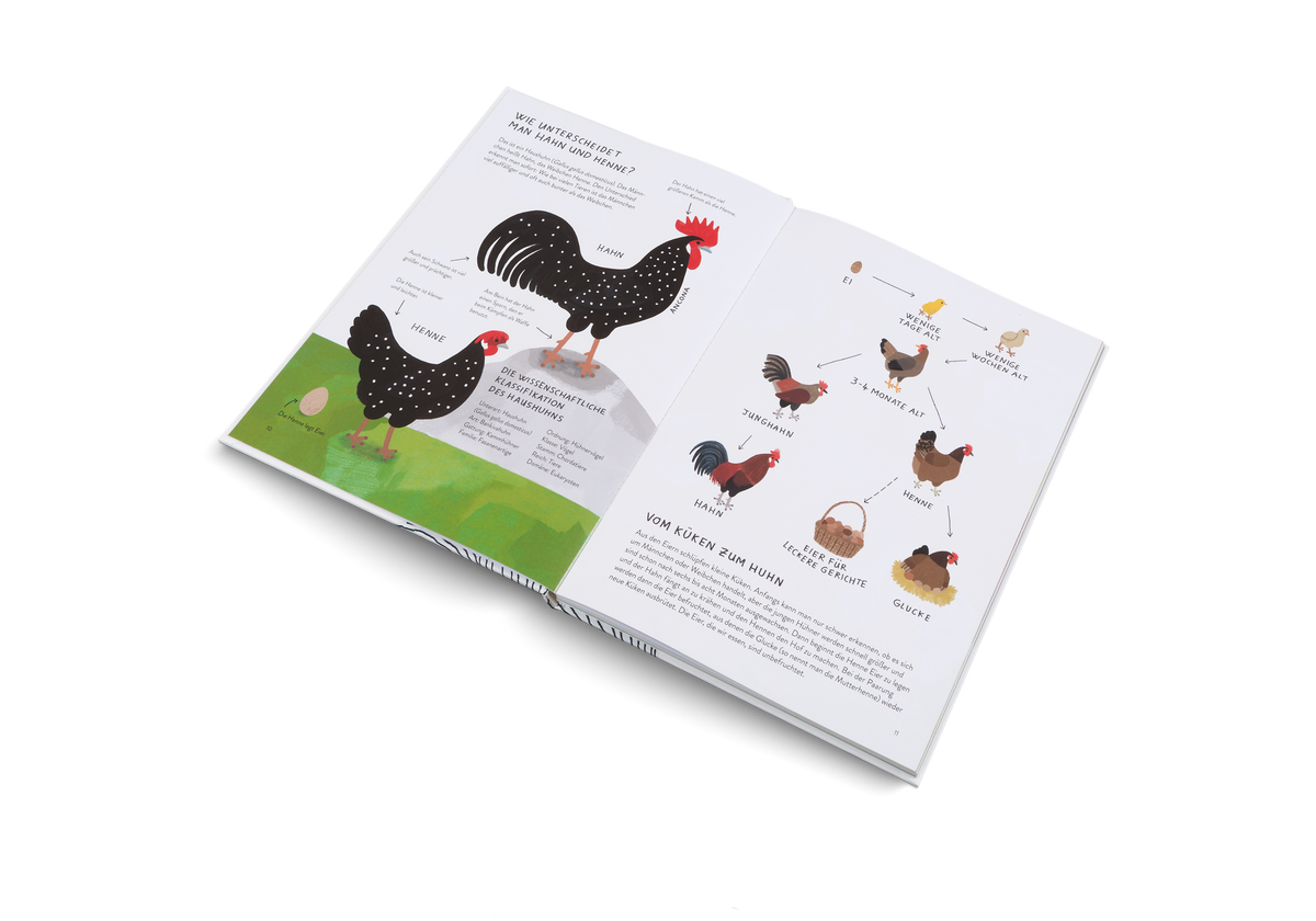 Ich wollt', ich wär' ein Huhn