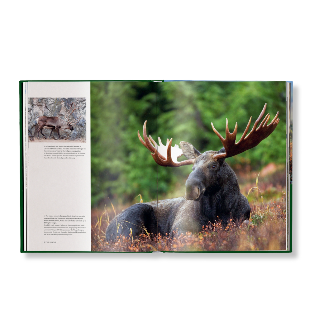 Jagd - Das ultimative Buch