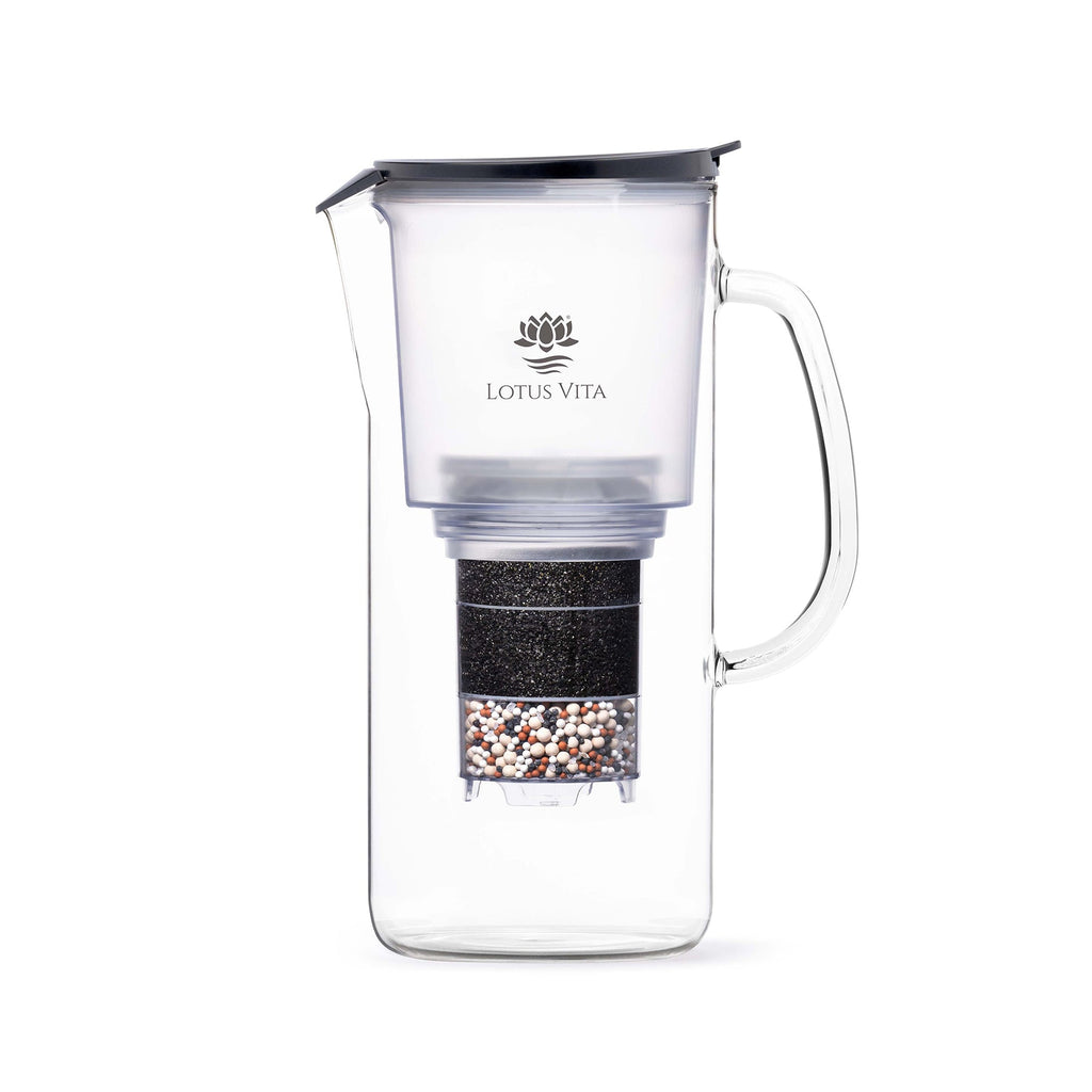 Lotus Vita - Glasfilterkanne - TOYA - 1,4L