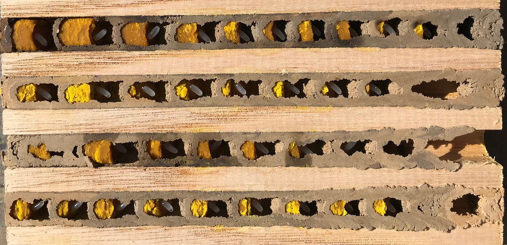 Maple wood insect hotel