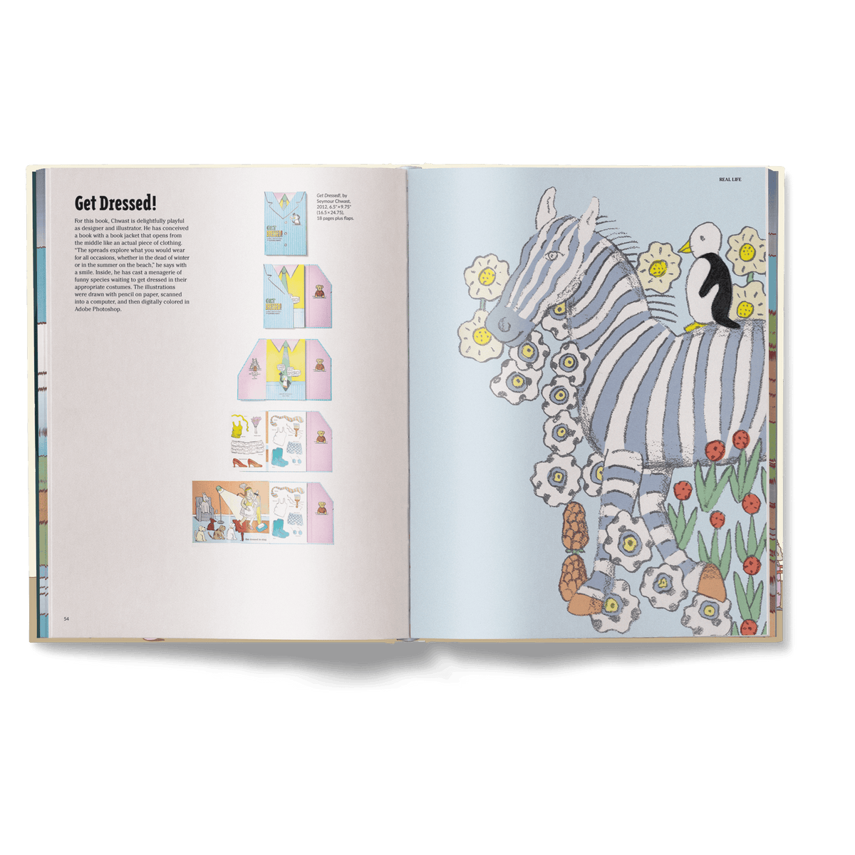 The Picture Book Book