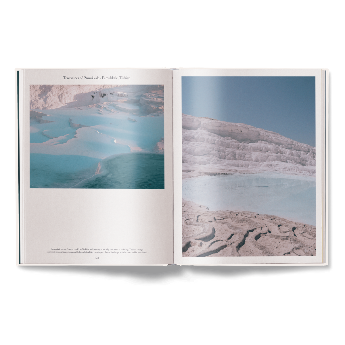 Das Wesen des Schwimmens (Aktualisierte Ausgabe)