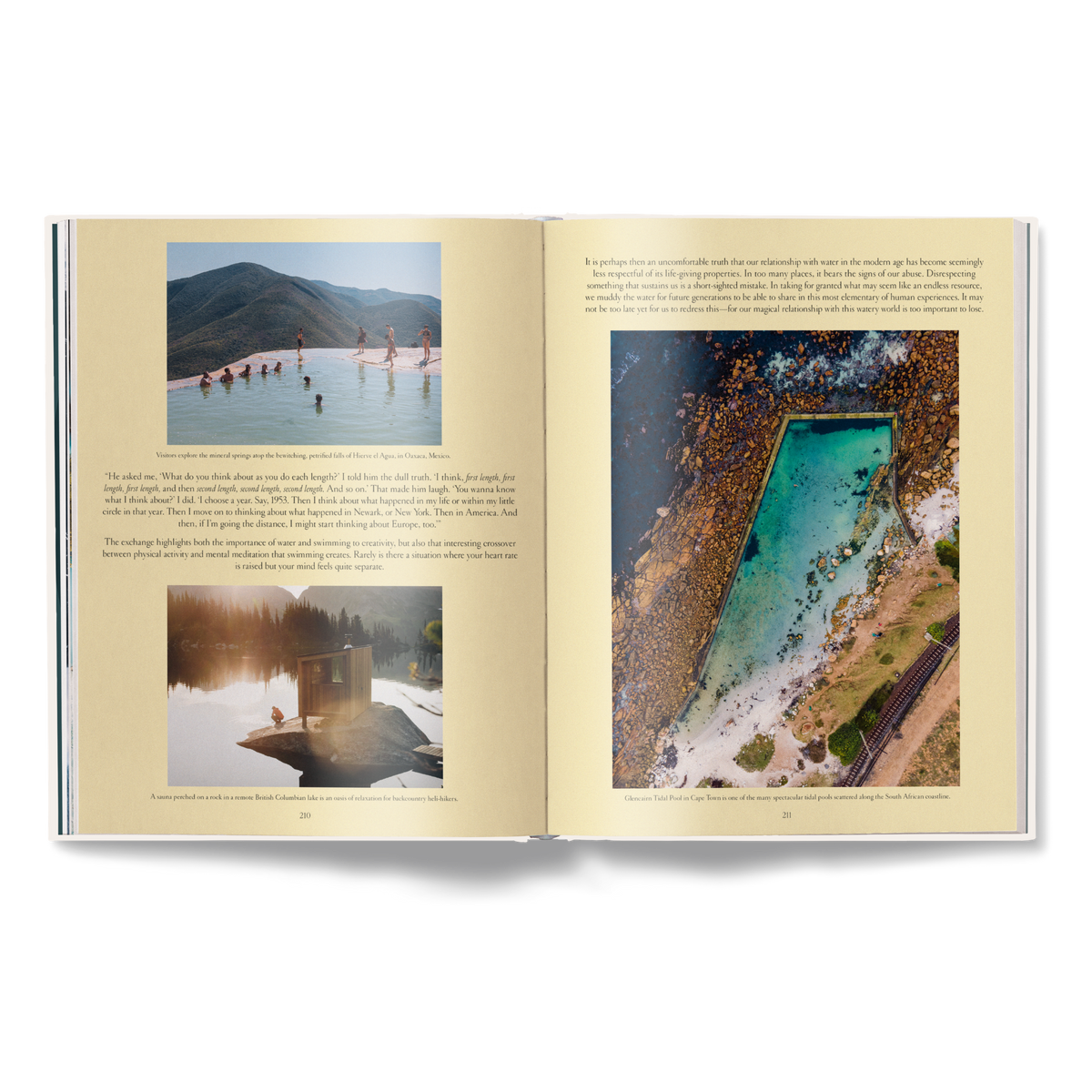 Das Wesen des Schwimmens (Aktualisierte Ausgabe)
