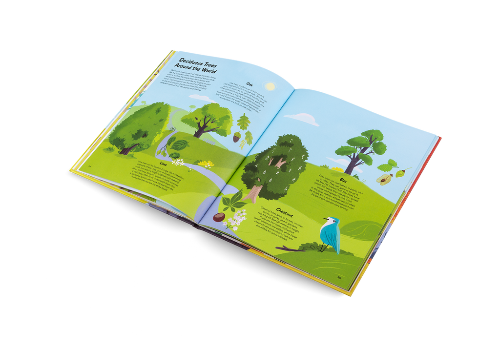 Das kleine Buch der Bäume