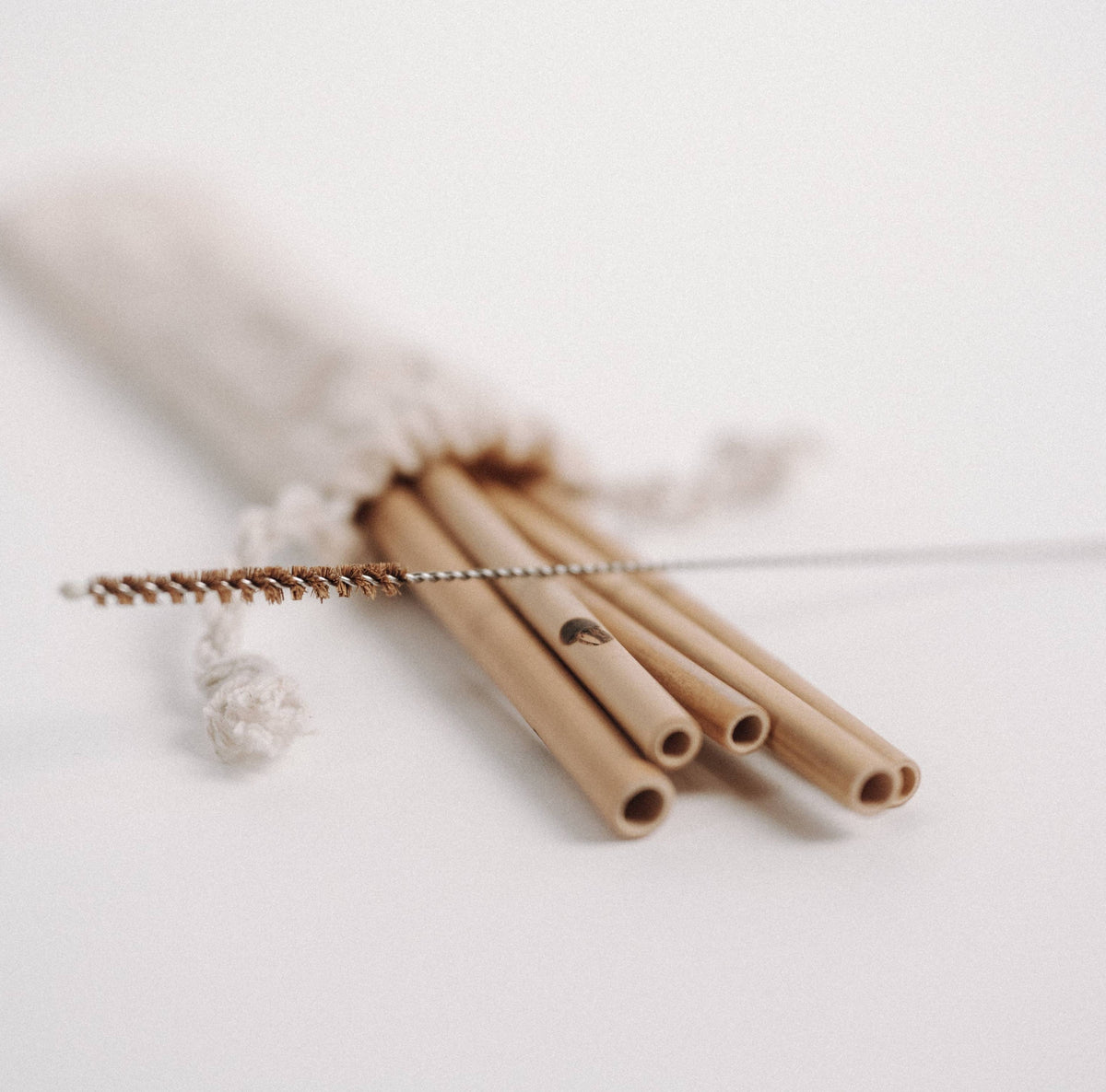 Bambus Strohhalme – JustStraws – 5er-Pack