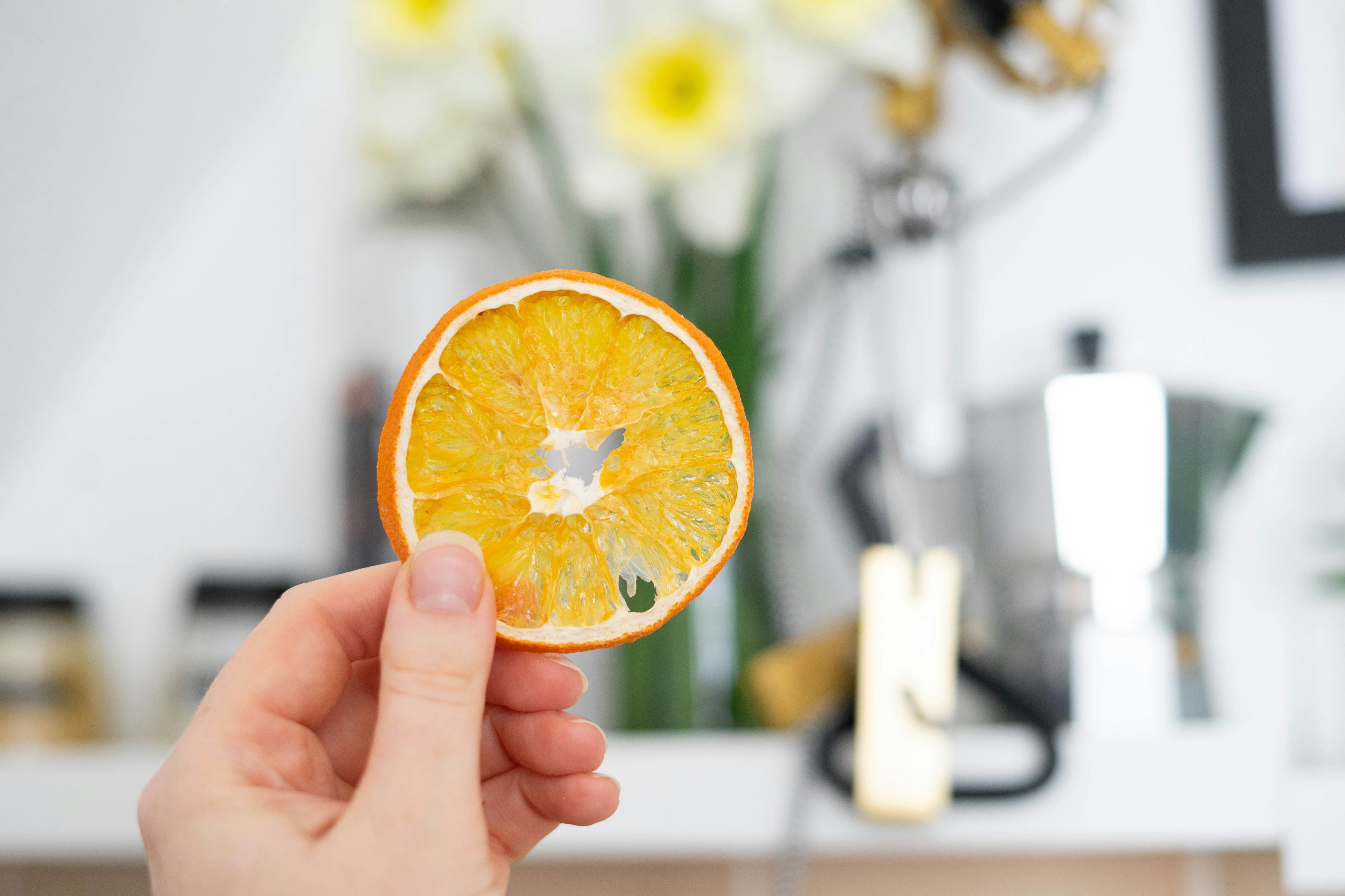 Premium Dehydrated Orange Slices