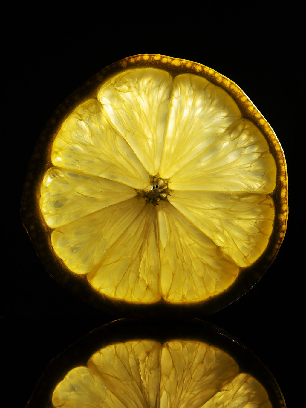 Premium Dehydrated Lemon Slices