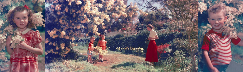Kodak Colorama Archive
