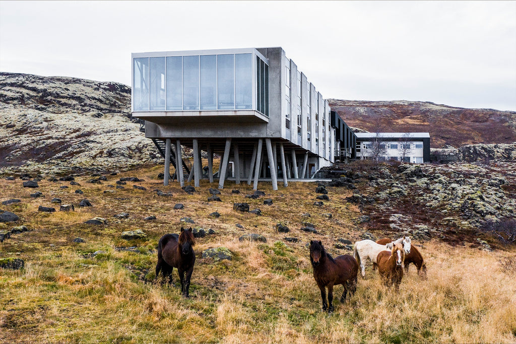 Designed to Stay: Das Design Hotels™ Buch