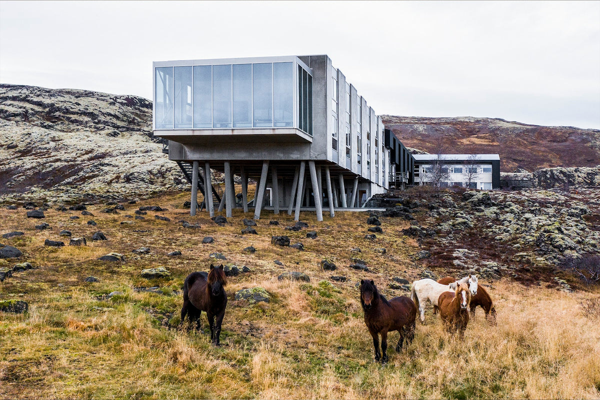 Designed to Stay: Das Design Hotels™ Buch