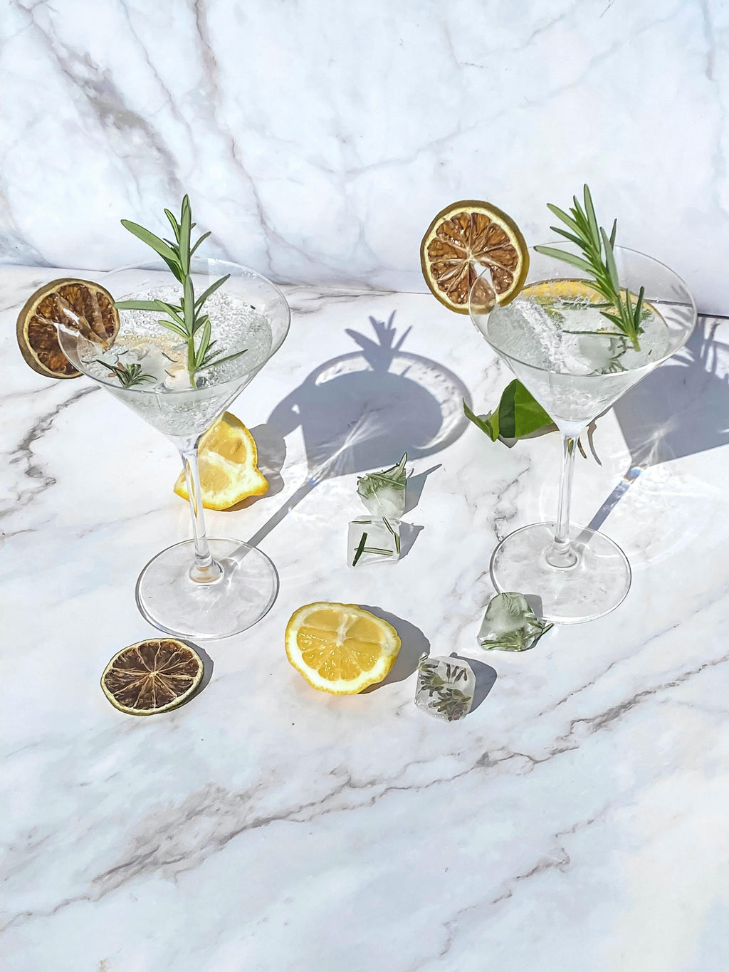 Premium Dehydrated Lemon Slices