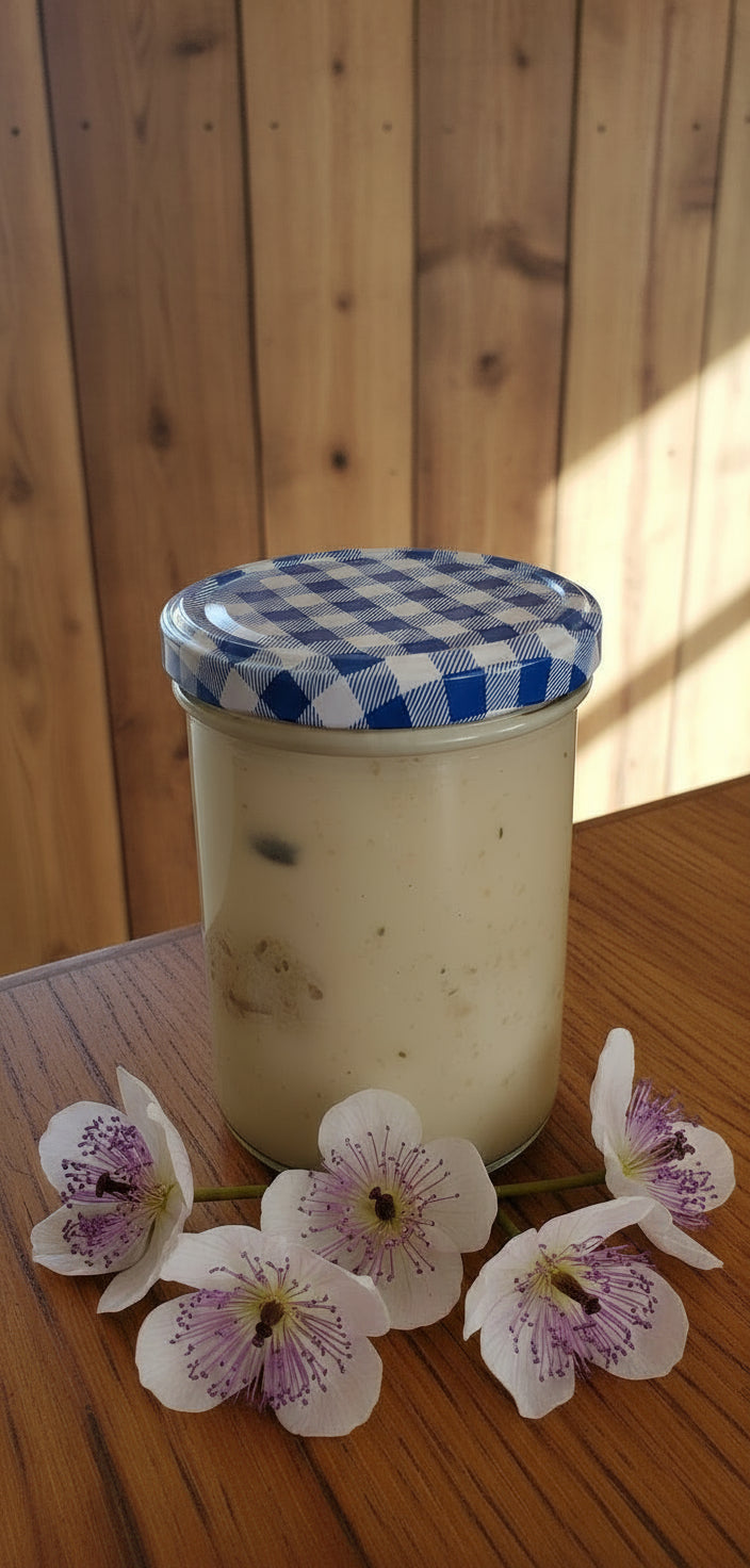 🍗Königsberger Klopse in Kapernsauce | Hausgemacht im Glas | Superfood – fein & ehrlich 400 g