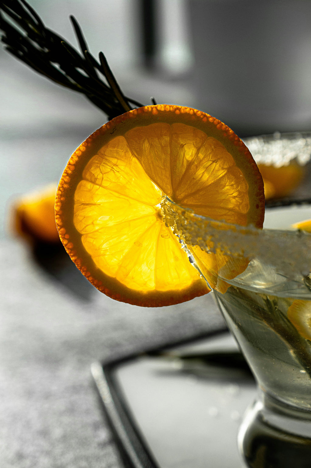 Premium Dehydrated Orange Slices