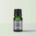 Bio-ätherisches Öl „Sunshine in a Bottle“ – Sonnige Frische & neue Energie
